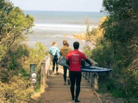 A Surf Class walking down the steps along a footpath through the sand dunes. At Torquay and Anglesea