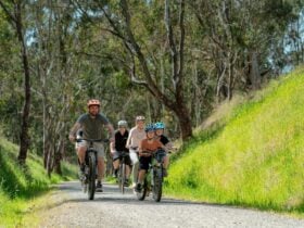 Family enjoys a guided cycling experience with Double Black Alpine on the Great Victorian Rail Trail