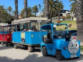 Eastern Beach Train Tours