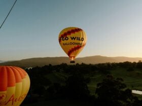 Yarra Valley Sunrise