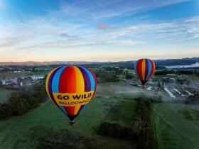 Two Go Wild Rainbow balloons floating above Yarra Valley.