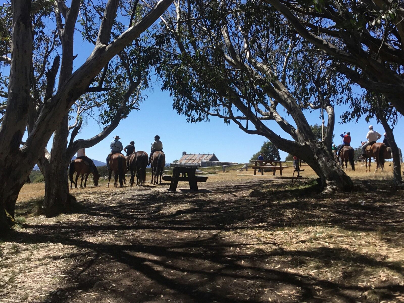 High Country Scenic Tours - Craigâs Hut