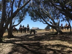High Country Scenic Tours - Craig’s Hut
