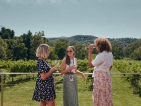 Women drinking wine