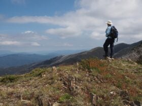 Victorian High Country