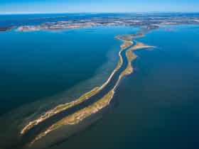 The Silt Jetties
