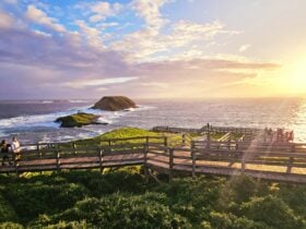 The Nobbies Phillip Island