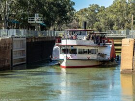Paddle Vessel Rothbury exiting Lock 11 on the Murray River