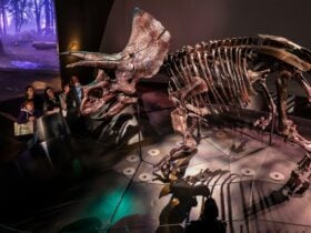 Home of Dinosaurs Tour - Melbourne Museum
