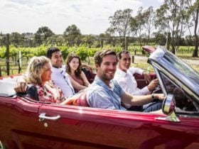 Mustang & Co tours