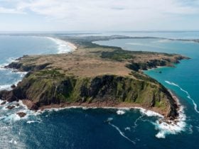 Cape Woolamai
