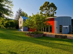 Pizzzini Wines Cellar Door