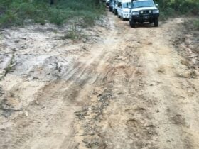 A Convoy of 4-Wheel Drives, following each other down a dirt road.