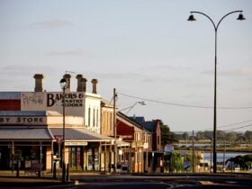 Star walk in the centre of Queenscliff.