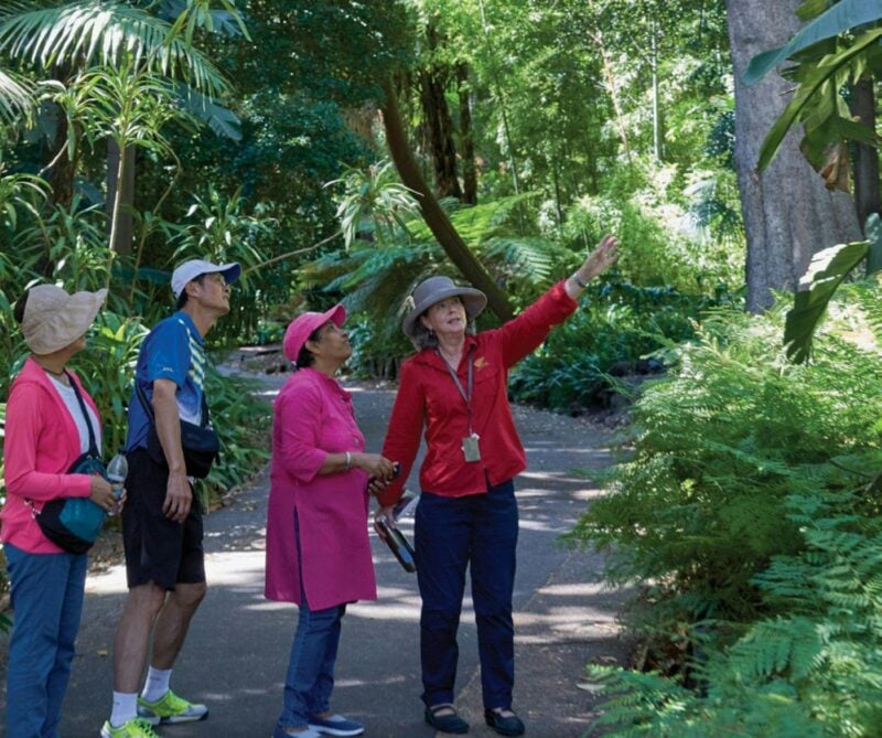 Guide pointing above with a group of visitors