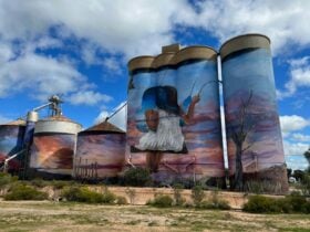 Sea lake silo Art trail by train