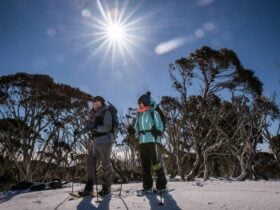 Snowshoeing adventure