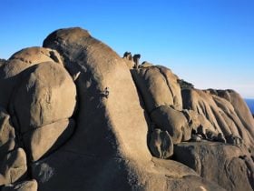 Unleashed-Unlimited Premium Adventure Experiences