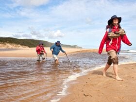 Walk91-crossing-Aire-River-Great-Ocean-Walk