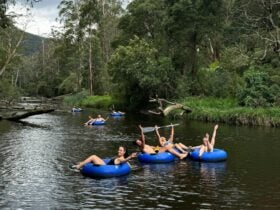 River tubing on the Yarra River