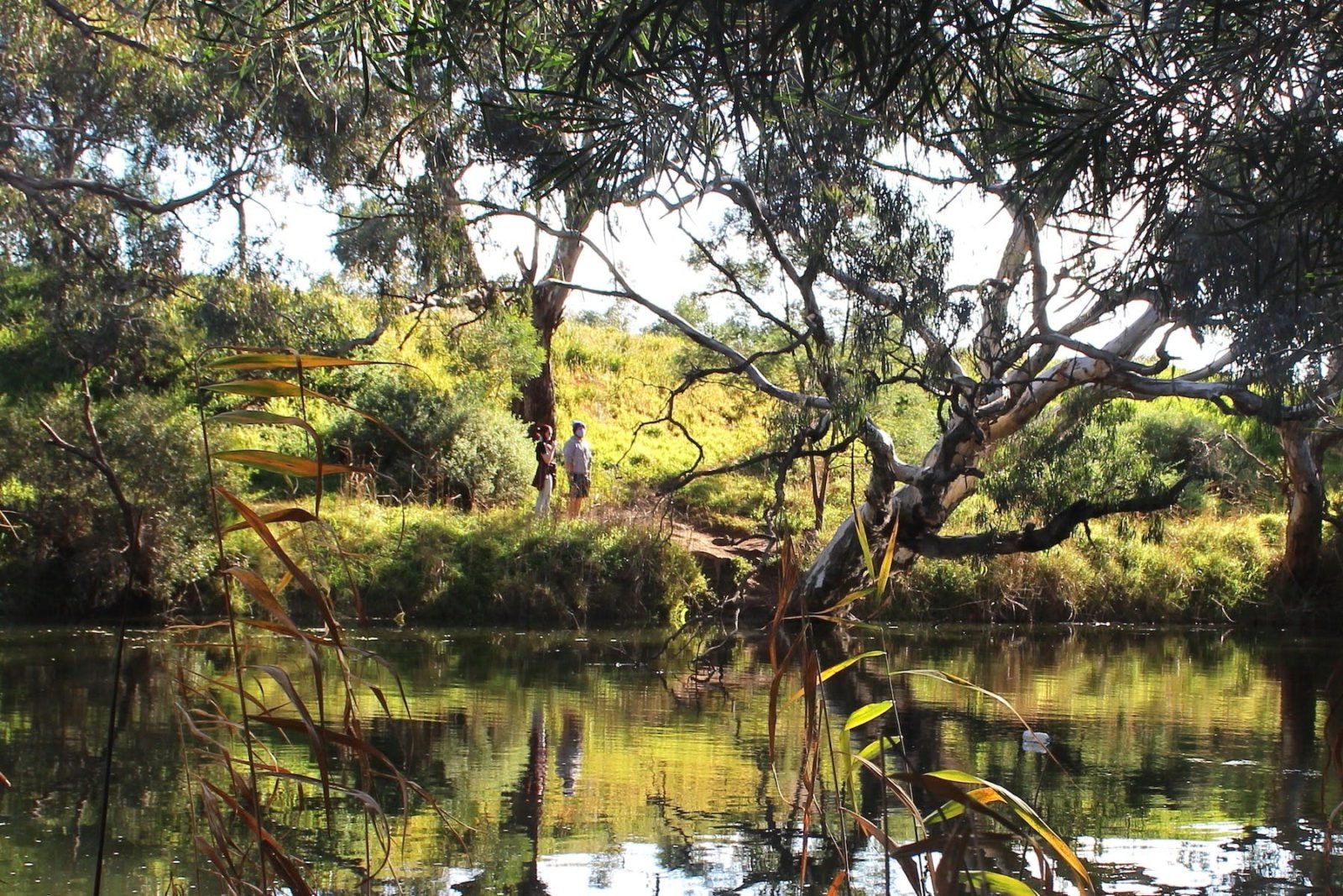 Werribee River at Presidents Park