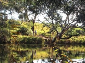 Werribee River at Presidents Park