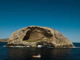 Wilsons Promontory Cruises at Skull Rock