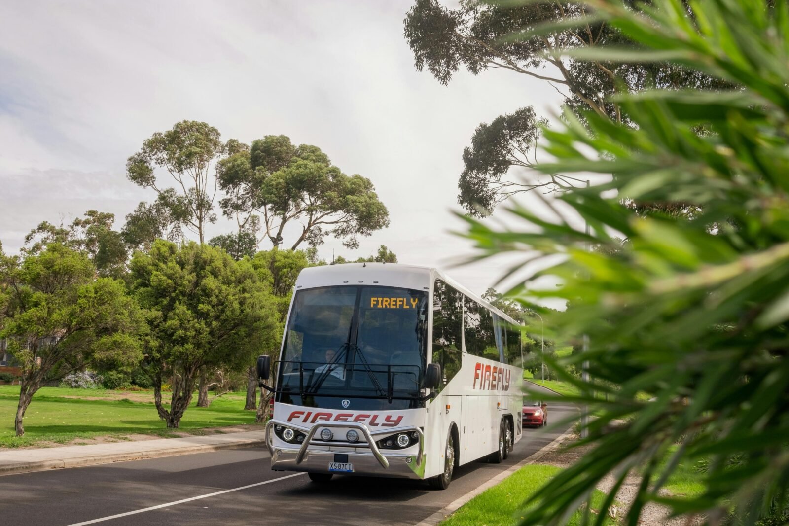 Firefly Express Coach