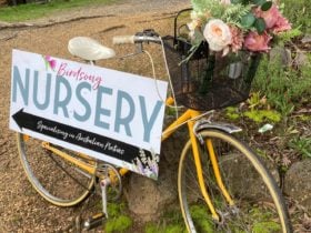 Birdsong Nursery and Gardens