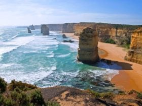 Great Ocean Road Day Tour
