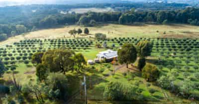 Marraweeny Olive Grove Cottage