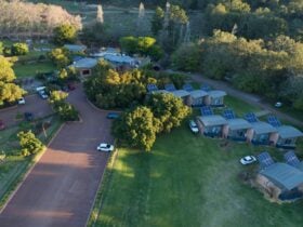 Aerial view of Avocados grounds