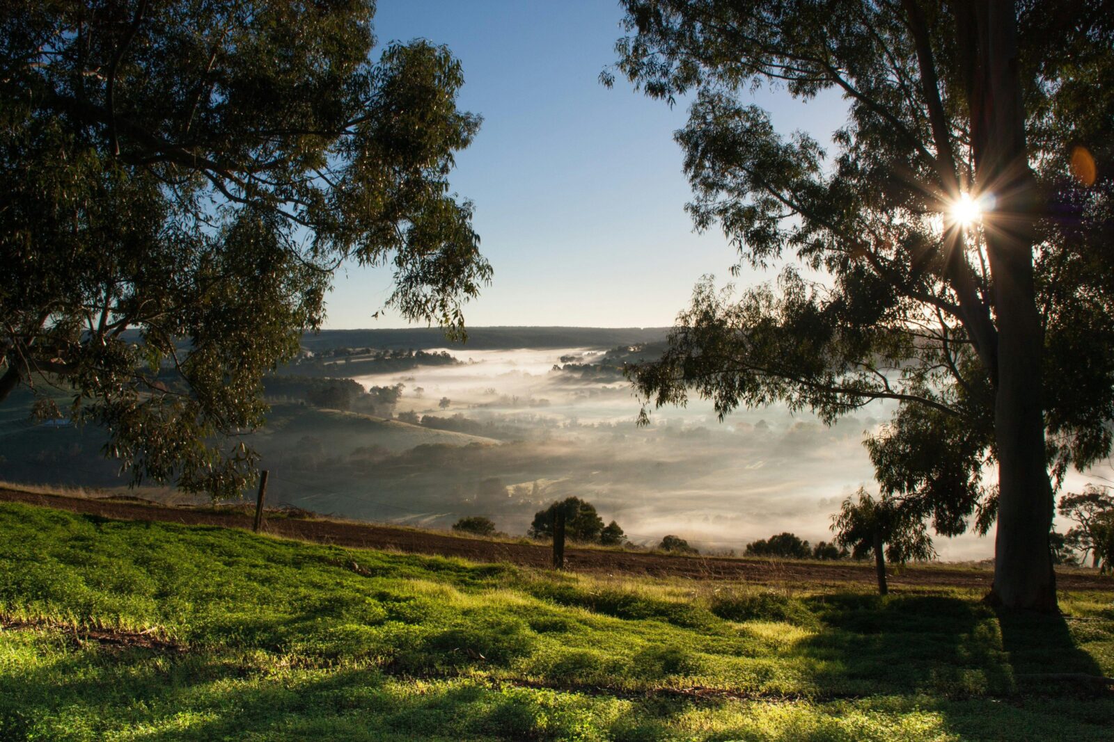 Balingup Heights Hilltop Forest Cottages, Balingup, Western Australia