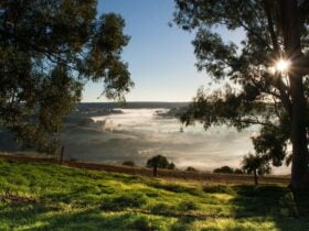 Balingup Heights Hilltop Forest Cottages, Balingup, Western Australia