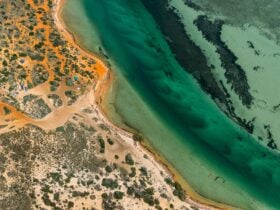 Aerial view of ocean and red sandy beach.