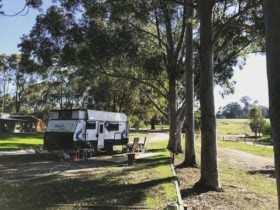 Big Valley Campsite, Rosa Glen, Western Australia