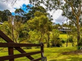 Blackwood Retreat