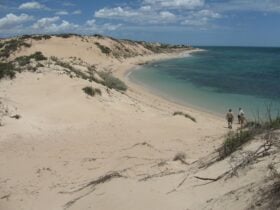 Two people standing on the beach