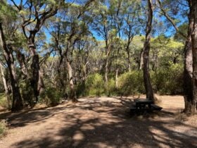 Cleared area with picnic table, bench and fire ring.