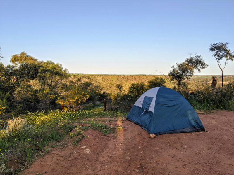 Small blue tent set up on area of red dirt with bush behind.