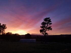 Sunrise view from Brodie