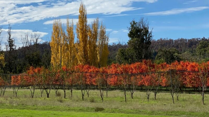 Brookhampton Valley Farm Getaway