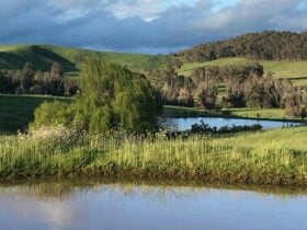 Brookhampton Valley Farm Getaway