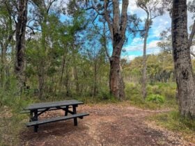 Wooden picnic table and bench.