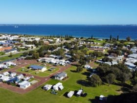 Aerial - See & See