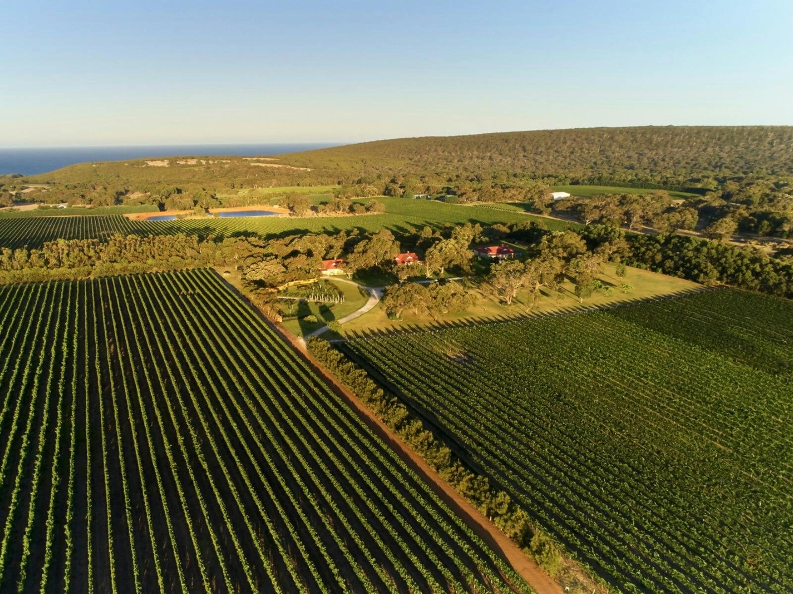 Cherubino Guest Houses