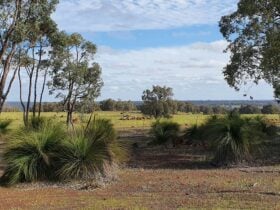 Chittering Acres