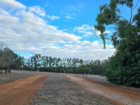 Citrus Park – A peaceful escape