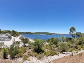 View of lake and low shrubs.