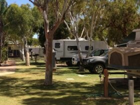 Wintersun Caravan and Tourist Park, Kingsford, Western Australia